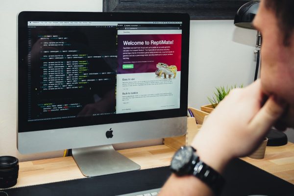 Cómo Seleccionar una Buena Empresa de Desarrollo Web